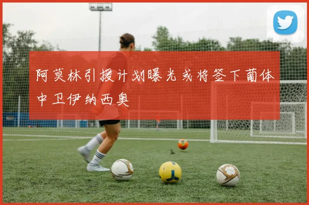 阿莫林引援计划曝光或将签下葡体中卫伊纳西奥