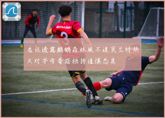 名记透露鹈鹕森林狼不追莫兰特热火对字母哥搭档持谨慎态度