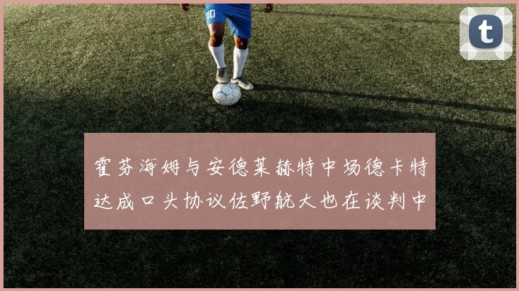 霍芬海姆与安德莱赫特中场德卡特达成口头协议佐野航大也在谈判中