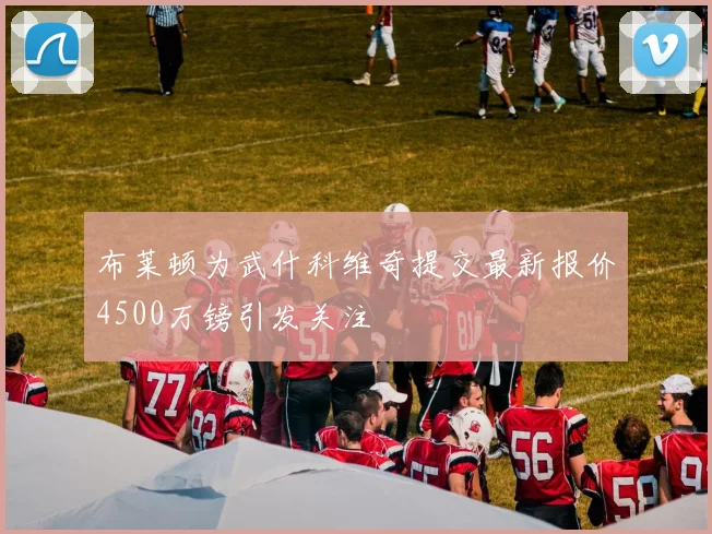布莱顿为武什科维奇提交最新报价4500万镑引发关注